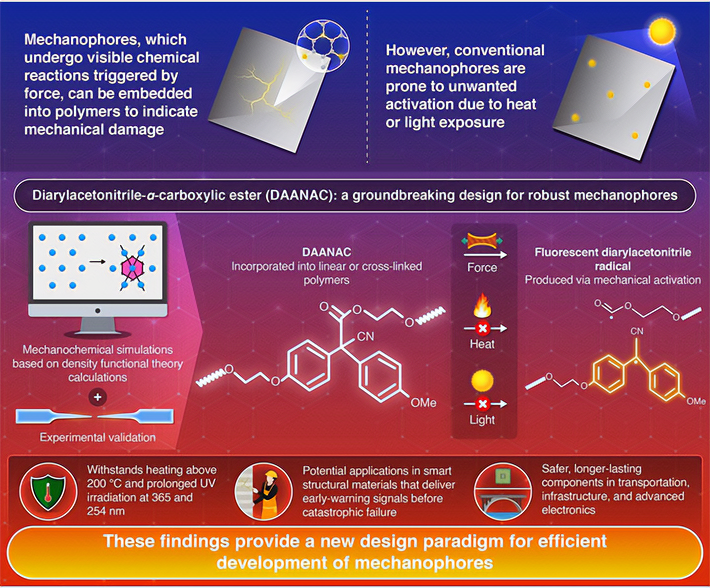 A Thermally and Photochemically Stable Fluorescent Radical-type Mechanophore for Durable Mechanoresponsive Polymers