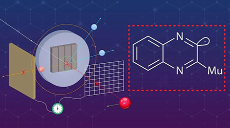 Catching a radical in motion with µSR spectroscopy
