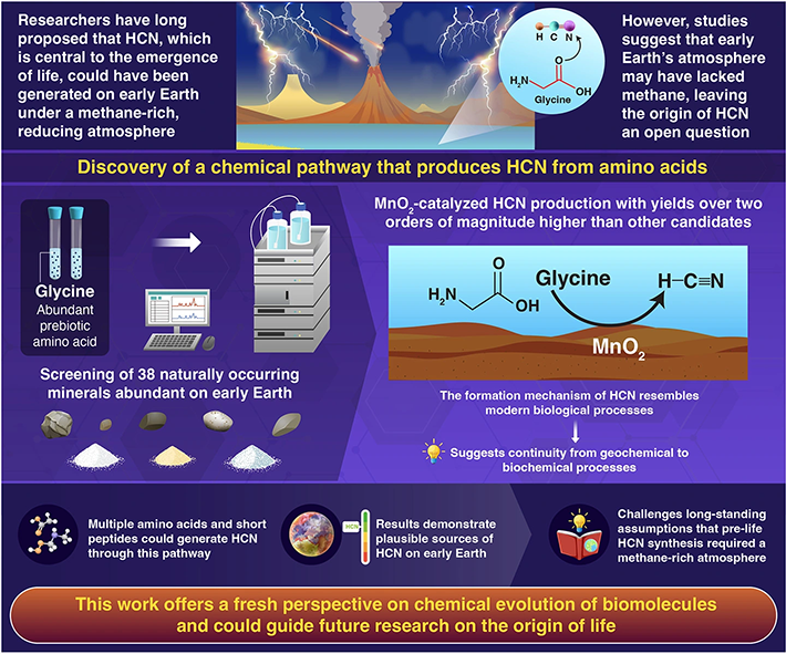 Mineral-facilitated aqueous synthesis of hydrogen cyanide from prebiotically abundant amino acids for chemical evolution