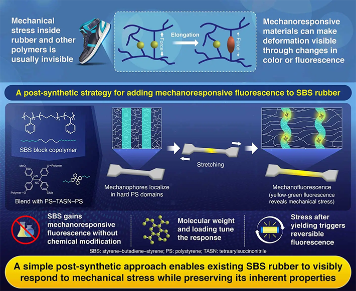 Stress Transfer within Microphase-Separated Structures: A Post-Synthetic Strategy to Impart Mechanoresponsiveness to Block Copolymer Materials