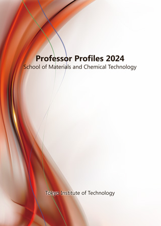 Professor Profiles 2024