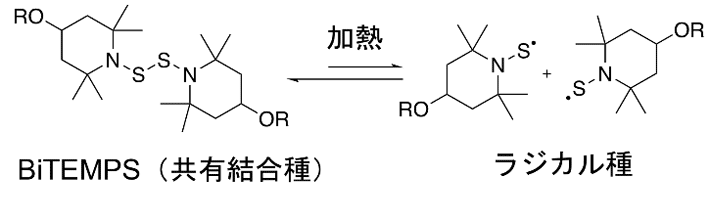 熱により動的性質を示すビス（2,2,6,6-テトラメチルピペリジン-1-イル）ジスルフィド（BiTEMPS）の化学構造：立体的に混み合っている中央の硫黄－硫黄結合が、加熱条件下では可逆的に開裂と再結合を繰り返すため、動的共有結合骨格として機能する。