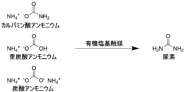 図1. 有機塩基触媒によるアンモニウム塩類からの尿素合成