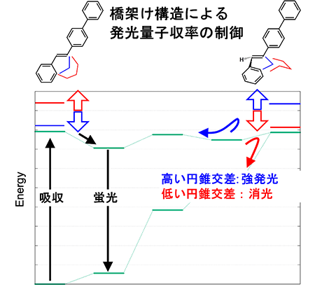 図2. 反応のエネルギーダイヤグラム