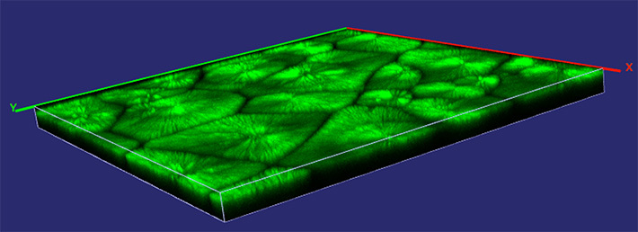 図4. 共焦点蛍光顕微鏡を利用した結晶化誘起メカノフルオレッセンスの三次元観察像