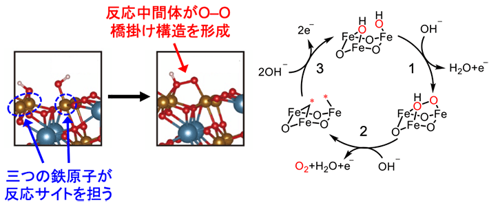 図3. CaFe2O4の粒子表面のmulti-iron-site mechanism