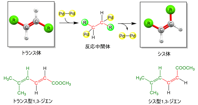 炭素の二重結合の逆方向異性化反応を開発