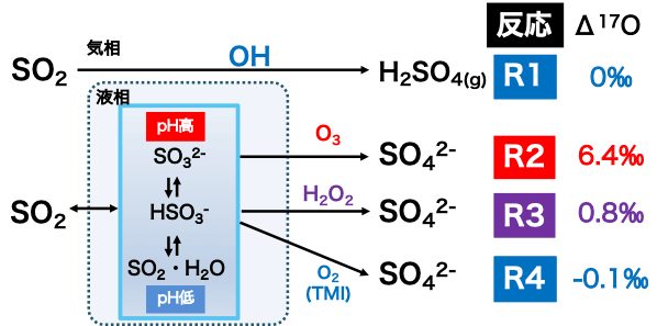 図1. 硫酸生成過程とその三酸素同位体組成