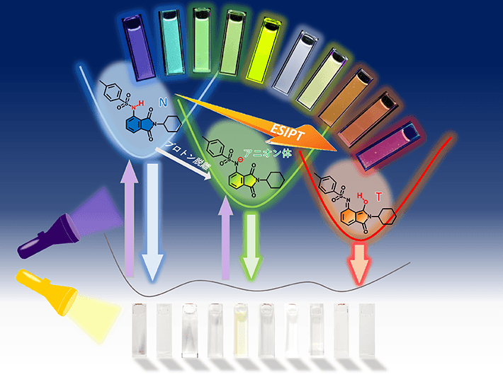 図4 イミド分子が溶液状態で多色蛍光を示す原理の模式図