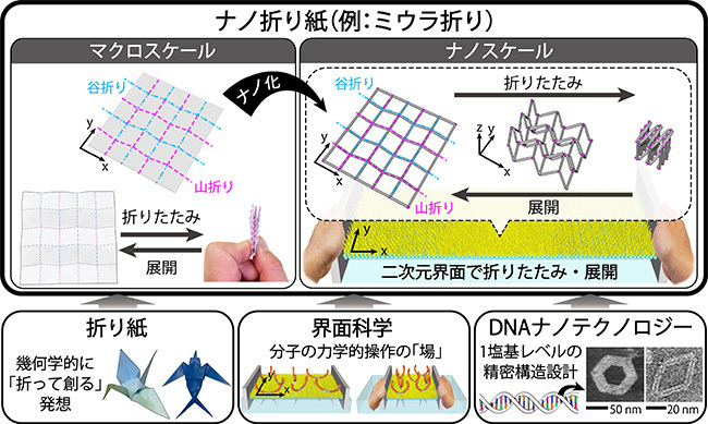 ナノ折り紙の概念図