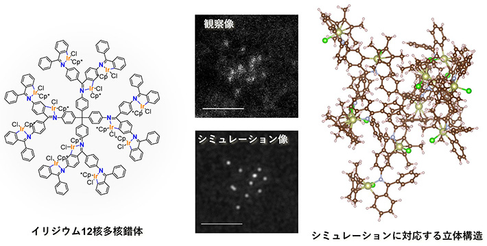 図2 イリジウム12核多核錯体の化学構造式（左）と、実験及びシミュレーションで得られた原子分解能電子顕微鏡像（中央）から求められた立体構造（右）。