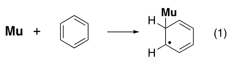 ベンゼンにミュオンを照射すると、式（1）に示すようにシクロヘキサジエニルラジカルが生成する。