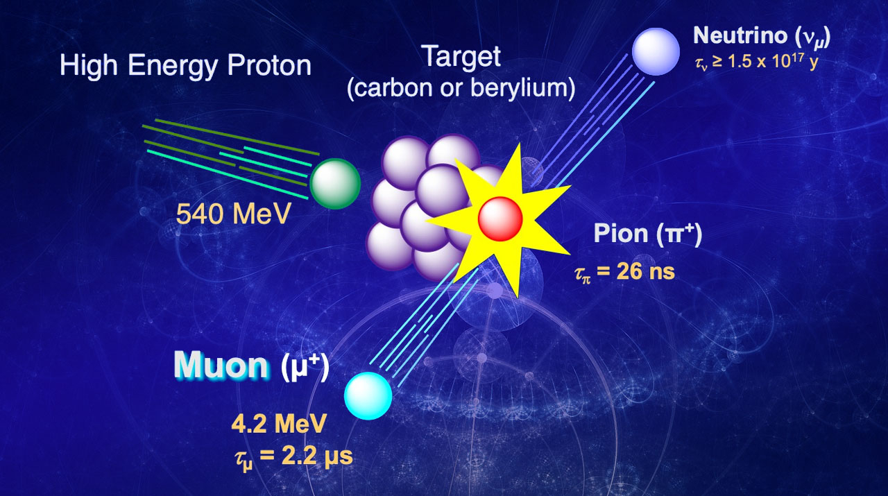 素粒子ミュオンを用いた高エネルギー複素環ラジカルの創成