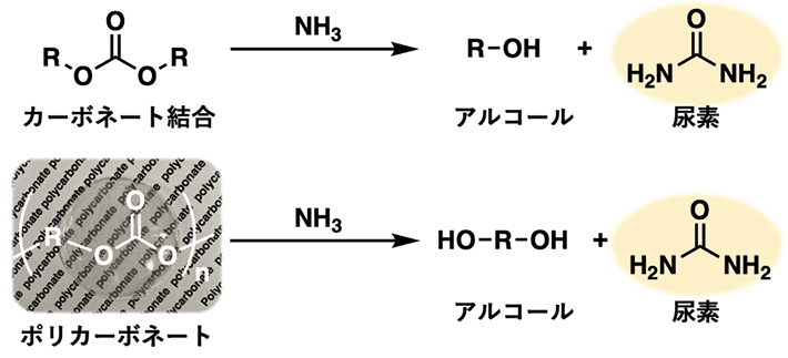 図2 カーボネート結合のアンモニア分解 