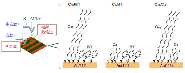 図1 縞状にパターン化された2成分単分子膜の構造模式図、ならびに接触および非接触モードによるSThM測定イメージ図 