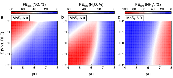 図3 数値シミュレーションによる実験結果の再現 低pHかつ正の電位ではNO、低pHかつ負の電位ではN2O、高pHかつ負の電位ではNH4+の選択性が向上し、実験結果の傾向を再現できた。選択性はファラデー効率（FE）として評価した。