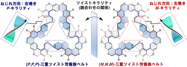 図1. ツイスト芳香族ベルトの構造とキラリティ（ねじれの方向によって右巻きがP-キラリティ、左巻きがM-キラリティとなる）