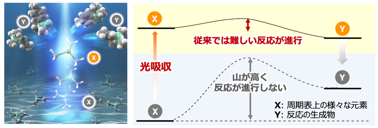 Schematic diagram of a photoreaction directly using excited states.