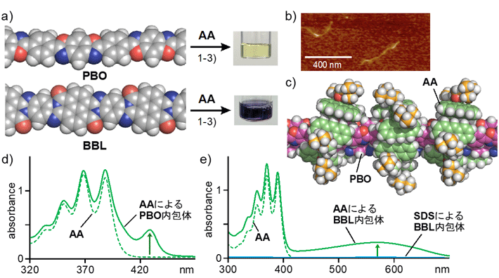図2 （a）AAによるPBOまたはBBLの水溶化とその溶液の写真。PBO内包体の（b）AFM画像と （c）分子モデリング図。（d）PBO内包体と（e）BBL内包体のUV-visスペクトル（r.t., H2O）。 