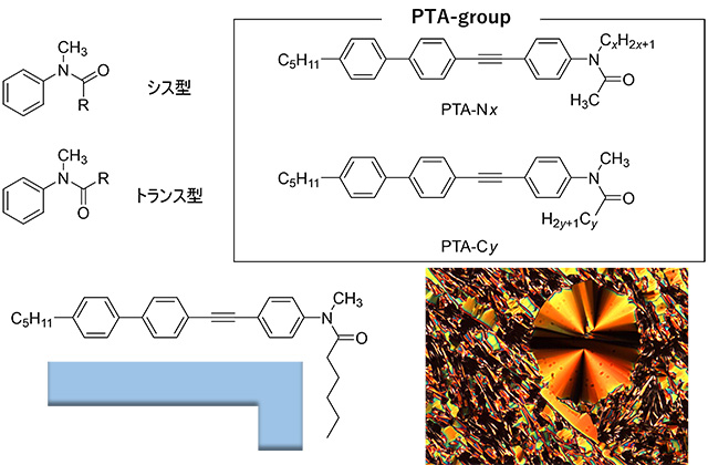 図1 3級アミドの構造と新規液晶分子PTA-group、および液晶の偏光顕微鏡写真 