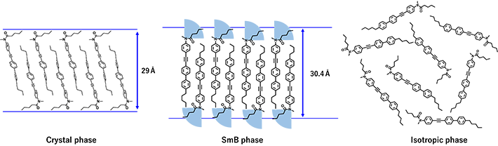 図2 PTA-groupの相転移挙動。低温側から順に結晶相（左）、液晶相（中）、 等方液体＝溶融状態（右） 