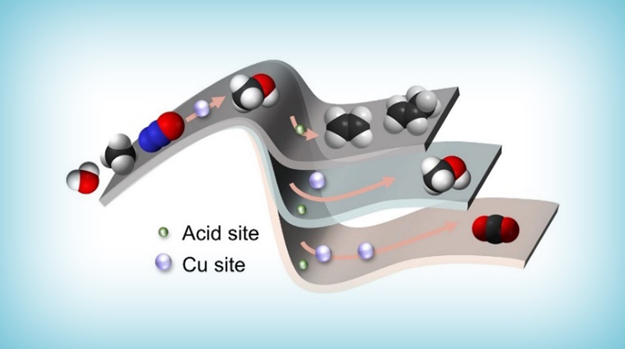 ゼオライト触媒におけるCuサイトと酸サイトの位置関係がメタン転換反応に与える影響