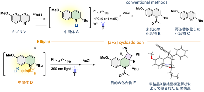 図2 キノリン（2次元化合物）のピリジン環側の付加環化によって3次元化合物を合成 