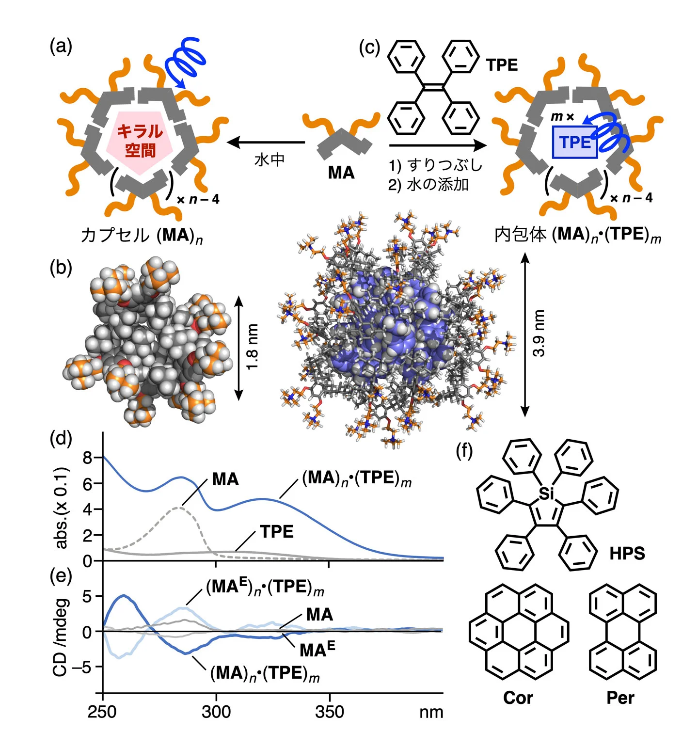 図3.</span>（a）テルペンカプセル(<b>MA</b>)<sub><i>n</i></sub>の形成と色素分子<b>TPE</b>の内包。（b）カプセル(<b>MA</b>)<sub>6</sub>と（c）内包体(<b>MA</b>)<sub>21</sub>•(<b>TPE</b>)<sub>12</sub>の計算構造。（d）内包体(<b>MA</b>)<sub><i>n</i></sub>•(<b>TPE</b>)<sub><i>m</i></sub>のUV-visible吸収スペクトル（r.t., H<sub>2</sub>O）と（e）内包体(<b>MA</b> or <b>MA<sup>E</sup></b>)<sub><i>n</i></sub>•(<b>TPE</b>)<sub><i>m</i></sub>のCDスペクトル。（f）キラル情報の伝達を達成した色素分子。