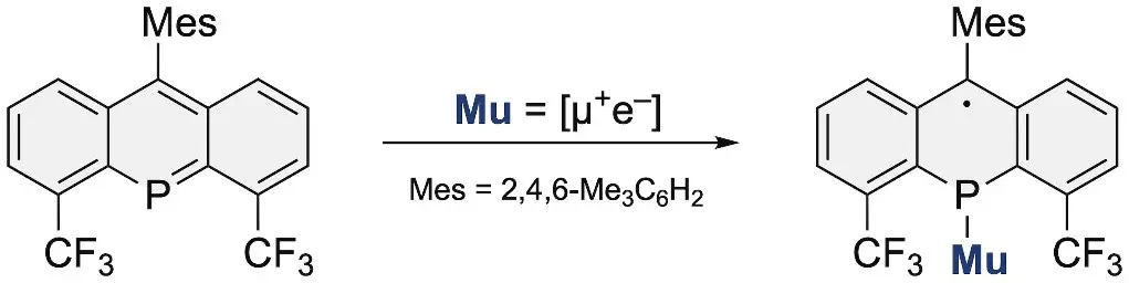 図1. ホスファアントラセンのミュオニウム（Mu）付加反応