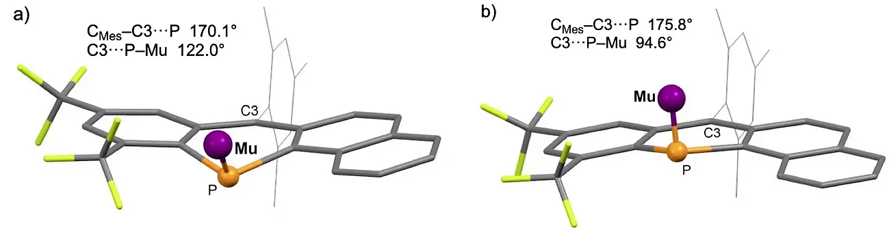 図5. a）1Muの最安定構造。計算はミュオニウム（Mu）の代わりに水素を用いて行っている。リン原子を含む6員環は封筒のようなかたちに歪んでいる。b）4個の環が共平面をなす1Muの準安定構造。