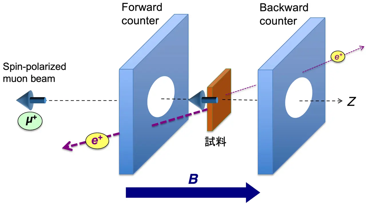 図8. TF-µSRの概略図