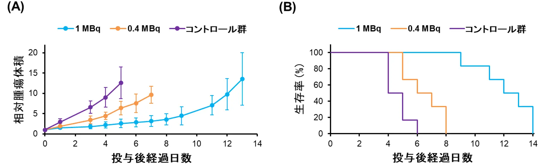 図3. [211At]NpG-GGN4c投与後の相対腫瘍体積変化（A）と生存率の経時変化（B）