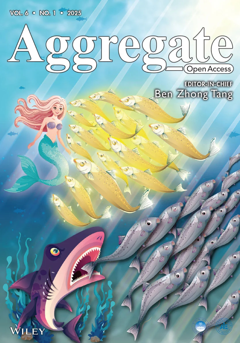 掲載誌：Aggregate 第6巻第1号