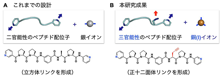 図2. 分子設計（A：以前の設計、B：今回の設計）