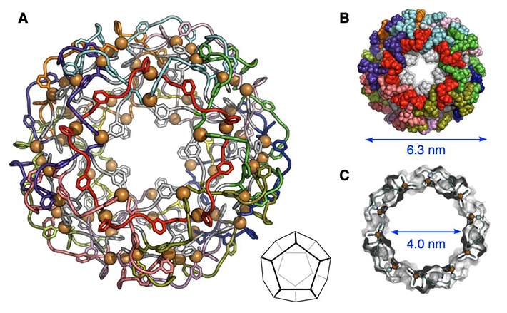 図3. M<sub>60</sub>L<sub>60</sub>の結晶構造（A：針金/ループによる表示、B：実体積表示、C：断面図）