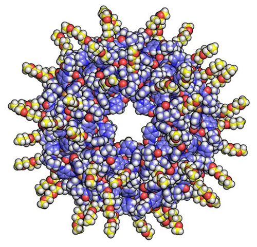図6. 外面化学修飾したM<sub>60</sub>L<sub>60</sub>構造（紫色：M<sub>60</sub>L<sub>60</sub>骨格、黄色：60本のDEG基）