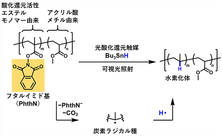 図1. 光酸化還元触媒を用いた炭素ラジカル種を経る高分子の官能基化の一例（従来研究）