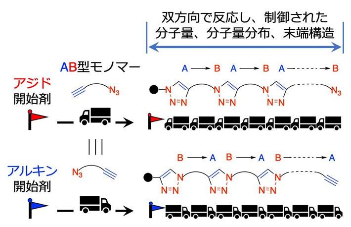 図1．制御／リビングクリック重合のイメージ図
                <p class=