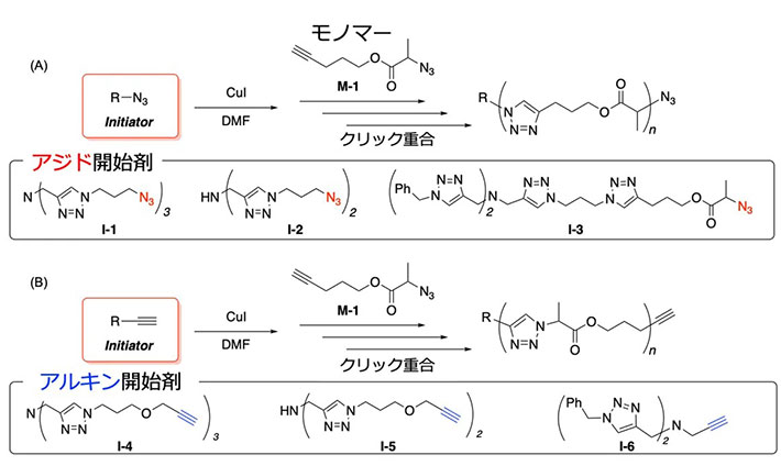 図2．制御／リビングクリック重合の開始剤とモノマー