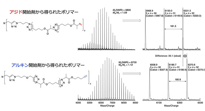 図4．制御／リビングクリック重合で得られたポリマーの質量分析<i>M</i><sub>n</sub>と分子量分布<i>M</i><sub>w</sub>/<i>M</i><sub>n</sub>