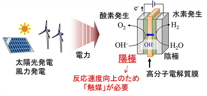 図1. OH<sup>−</sup>が伝導する高分子膜を電解質とした「アニオン交換膜型水電解」の概略