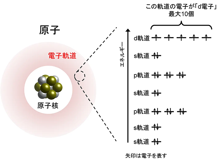 図3. 金属原子の電子軌道の概要およびd軌道の位置