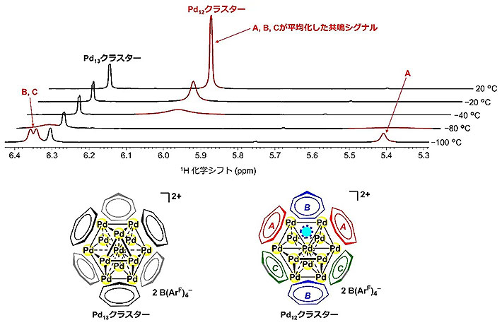 図3．Pd<sub>12</sub>およびPd<sub>13</sub>クラスターに対する<sup>1</sup>H NMRスペクトルの温度依存性。