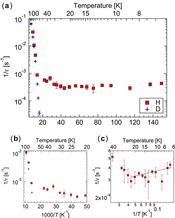 図3. 抵抗測定から計測した軽水素(H)と重水素(D)のホッピング頻度。(a)全温度領域、(b)中間温度領域、(c)低温領域。(a)で同位体効果がみられる。(b)で正の温度依存性、(C)で負の温度依存性が観測された。