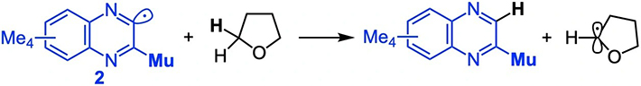 図4. キノキサリニルラジカル<strong>2</strong>によるテトラヒドロフランからの水素引き抜き反応。