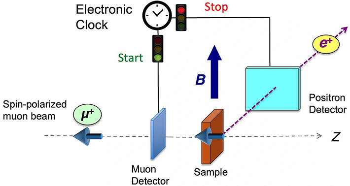 図6. TF-&micro;SRの概略図