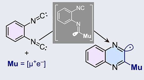 素粒子でつくり出す常磁性芳香族複素環分子