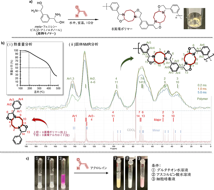 図2. フラスコ内での8員環ポリマー合成