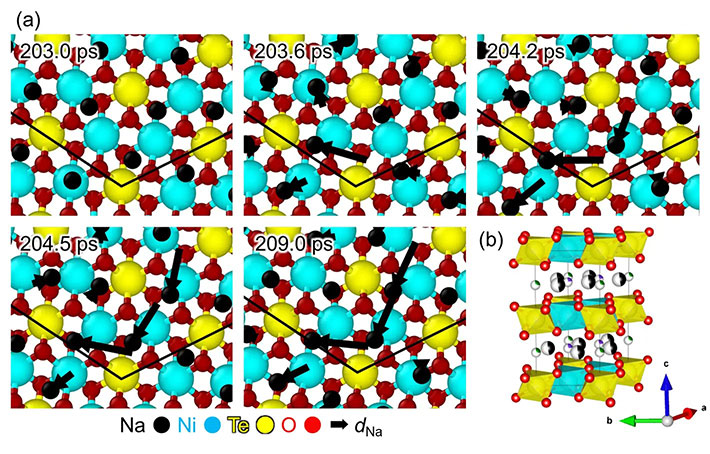 図2.二次元イオン伝導体Na<sub>2</sub>Ni<sub>2</sub>TeO<sub>6</sub>中の協奏的な輸送のスナップショット