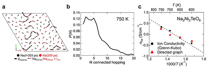 図3.(a)Na<sub>2</sub>Ni<sub>2</sub>TeO<sub>6</sub>内のあるNa層のある時間区間における協奏的な輸送の軌道。